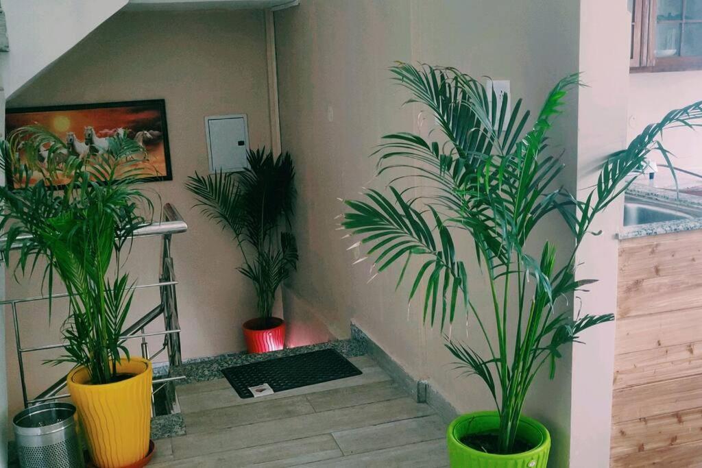 Fairview Wayside Villa Kasauli Exterior photo